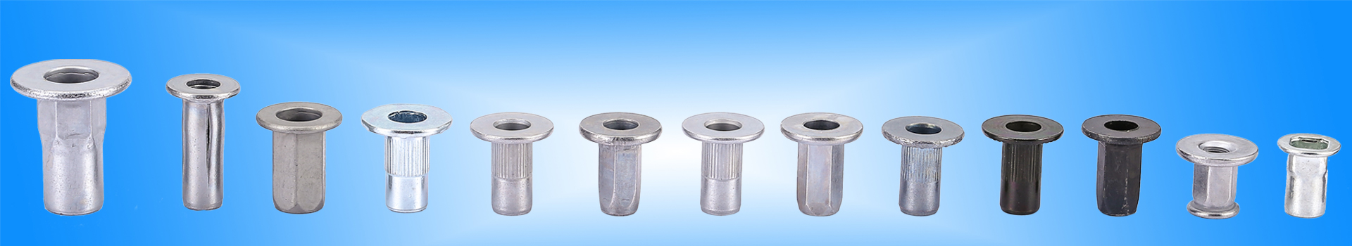 Wenzhou Gongbu Fastener Co.,Ltd