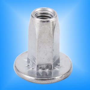 Automobile Parts Rivet Nuts