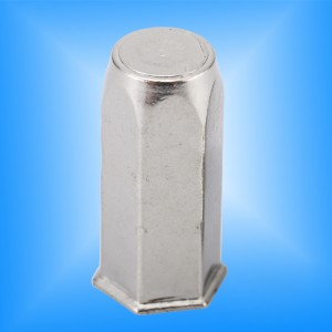 Reduce Hex Head Full-Hex Body Cloes End