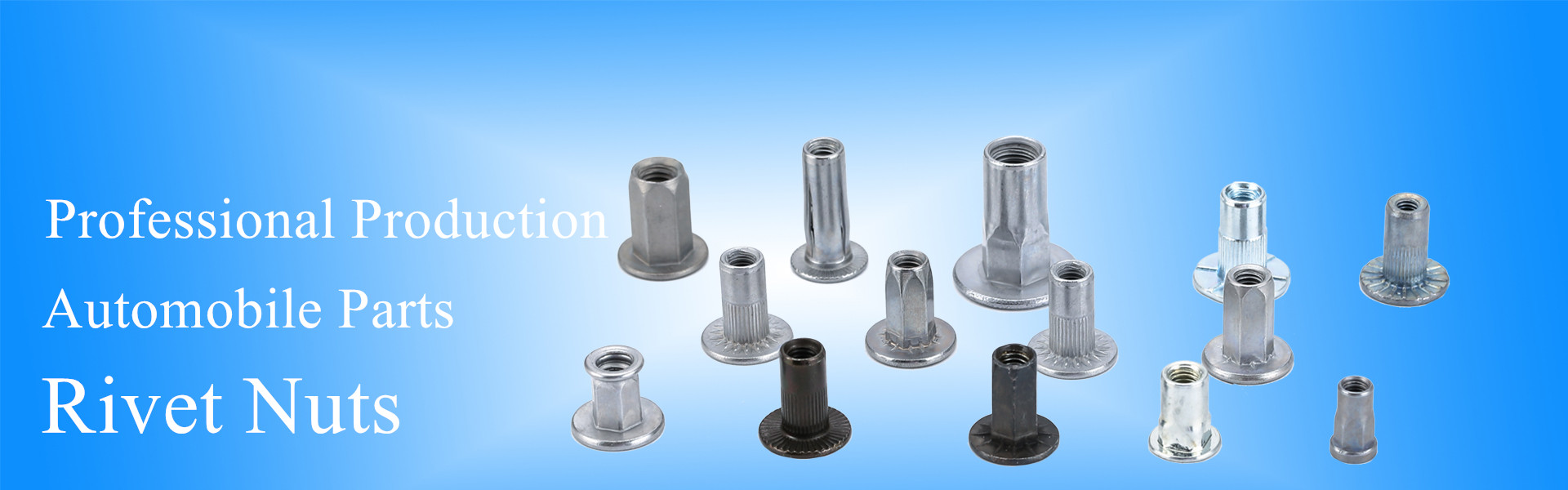 Wenzhou Gongbu Fastener Co.,Ltd