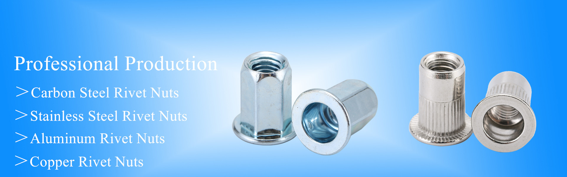 Wenzhou Gongbu Fastener Co.,Ltd